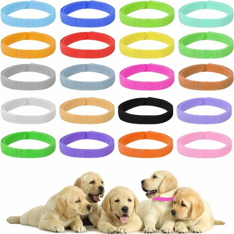 Pack of puppy outlet collars