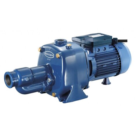 POMPE TRI FONTE 1,65KW BICELLULAIRE - RCT200P RENSON (1/2)