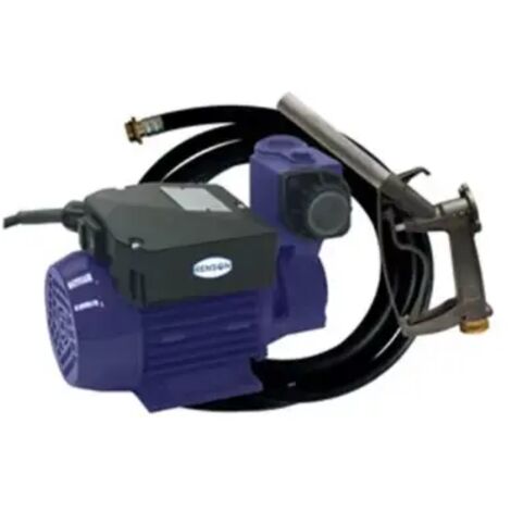 GROUPE DE TRANSFERT 40L/M AUTO AMORCANTE FLEX 4M RENSON (1/3)