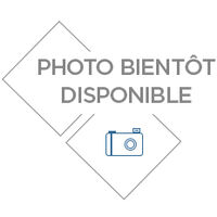 LOT 2 POMPES ELECTRIQUE ADBLUE 12V ET 230V - POUR FUT ET IBC RENSON