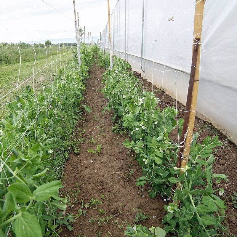 RETE TELO ANTIGRANDINE PROTEZIONE PER ORTO GIARDINO COLTIVAZIONI ROTOLO 10M