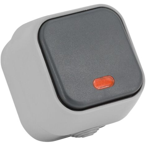 Interrupteur Simple avec Voyant Lumineux IP54  Gris