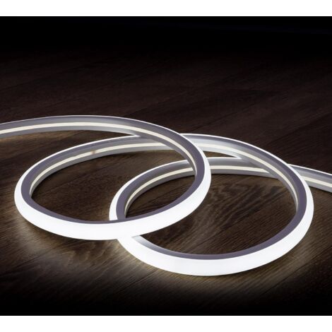 Ruban LED Néon Dimmable 220V Blanc Froid Semi-Circulaire 180 7.5W/m Coupe 100cm IP67 Sur mesure 5 m