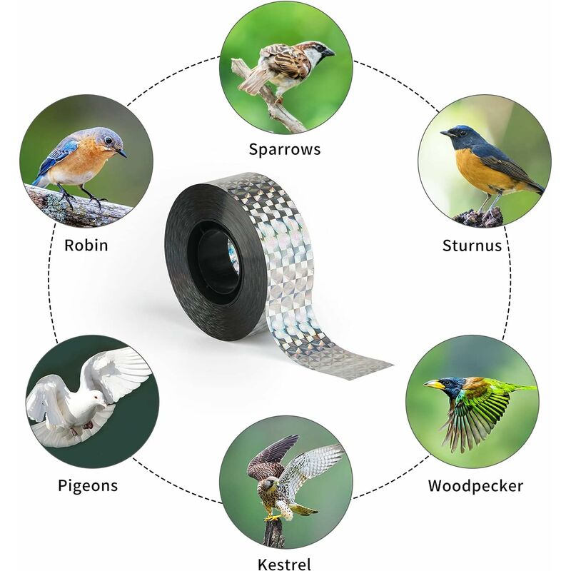Pointes de pigeons anti-oiseaux en acier inoxydable, répulsif anti-oiseaux,  dissuasif pour balcon, kit de clous d'épine anti-oiseaux, 12 pièces