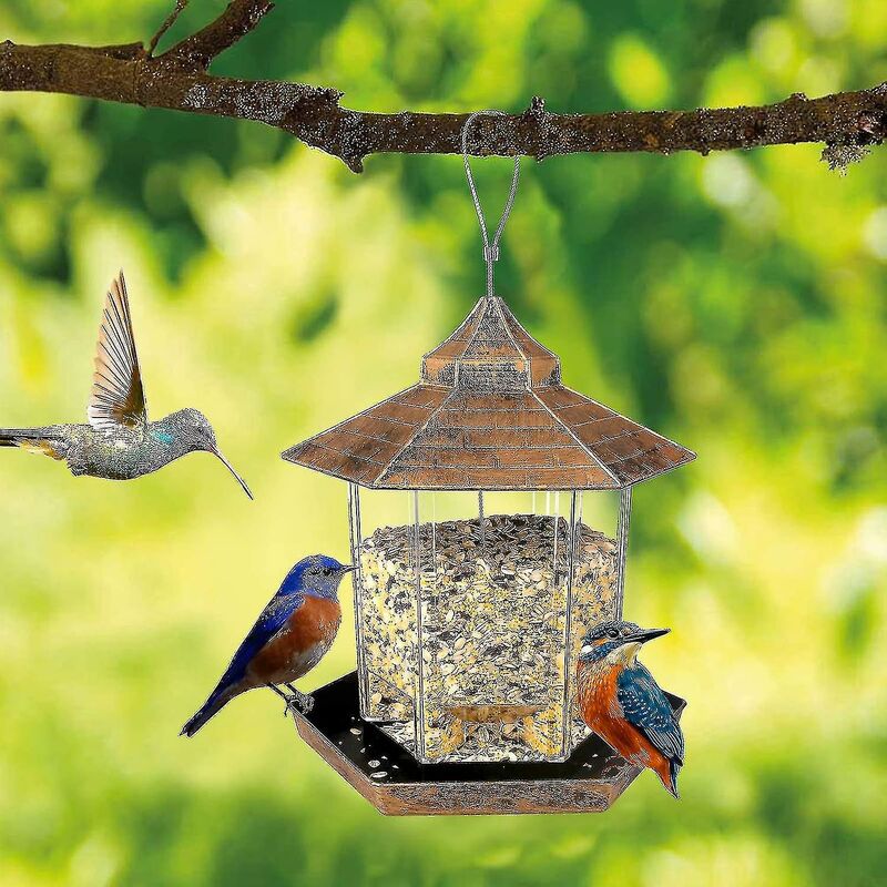 Bird Feeder, Hanging Feeder, Wild Bird Feeder, Bird Feeder, Bird Feeder,  Natural Garden And Balcony