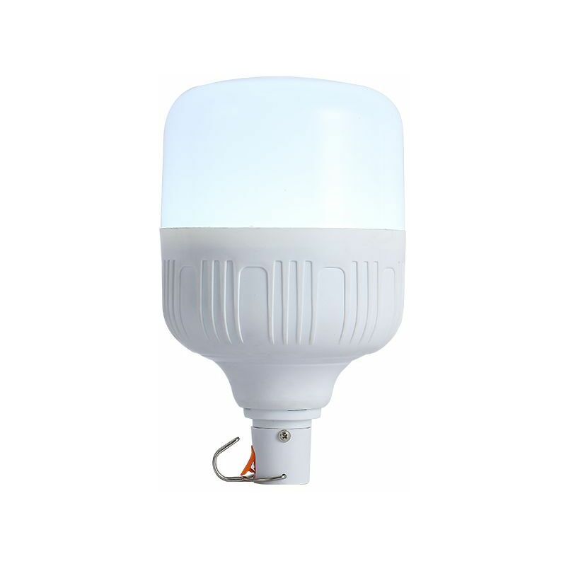 Acheter Ampoule LED rechargeable par USB 80W, pour camping en plein air,  pêche nocturne, éclairage de secours