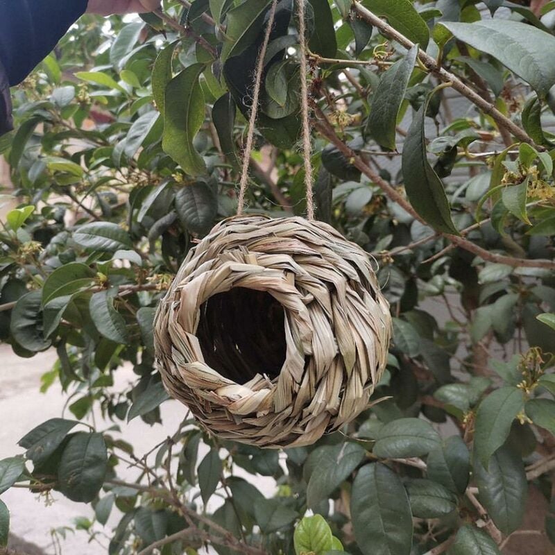 Maison en bois pour colibri à suspendre à l'extérieur - 11,9 cm - Matériau  de nidification pour colibri et pinsons C