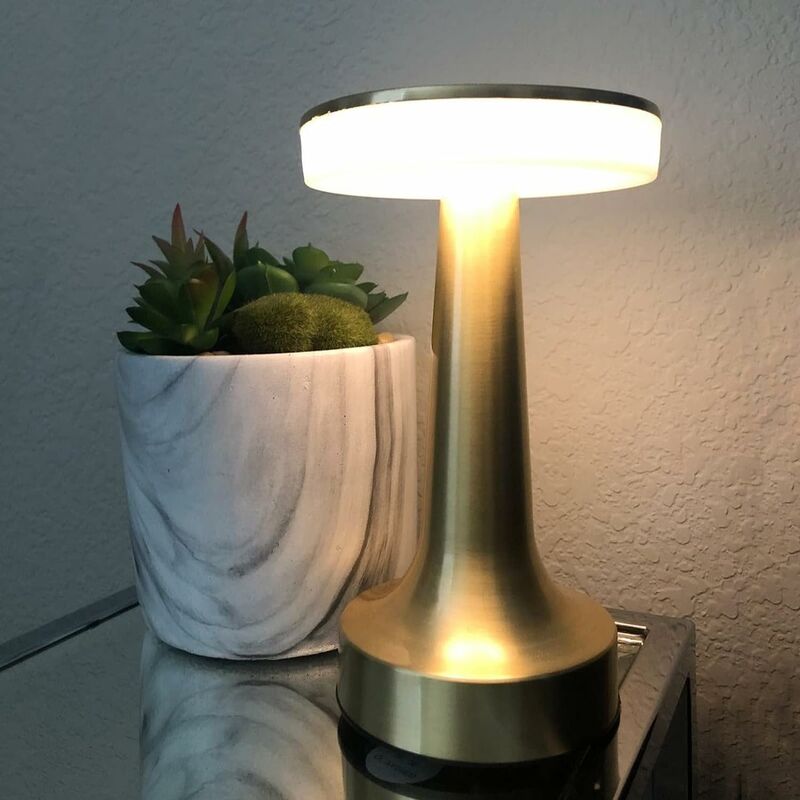 Lampe de Table LED Extérieur avec Télécommande 16 Couleurs Intensité  Variable Lampe de Table Sans Fil étanche Décorate Maison Jardin - Cdiscount  Maison