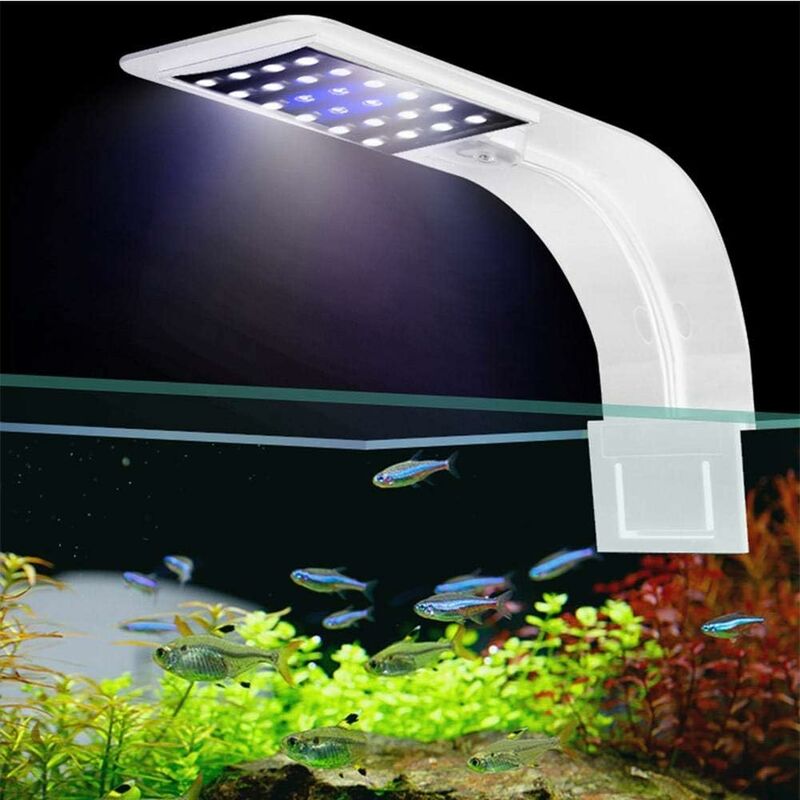 Lampe Aquarium, 5W Lumière Blanche Lampe à Pince pour Aquarium, 12 Perles  de Lampe LED LED Lampe Aquarium, Convient pour Aquarium de 6 mm d'épaisseur