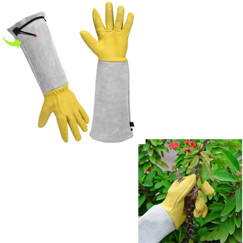 Gants de jardinage en cuir résistant aux épines, gants de travail robustes  pour homme et femme, outils de jardin, mécanicien, jardinier,  antidérapants, cadeau de protection (XS, marron) : : Bricolage