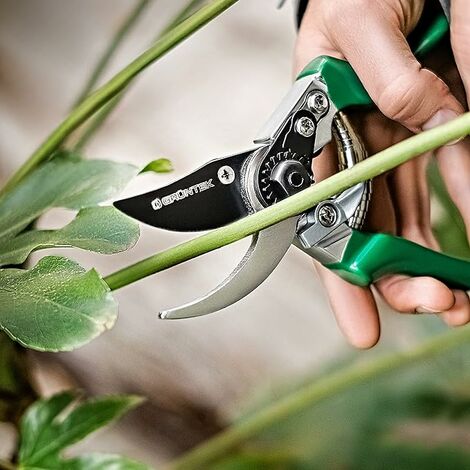 Jardin Cisaille, Élagage Cisailles Cutter Maison Jardinage Plante Ciseaux  Branche Élagueur Outil À Main