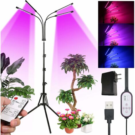 Blue Dream Lampe Horticole LED Croissance Floraison - Cultivez des Plantes  Saines à L'intérieur - Lampe LED