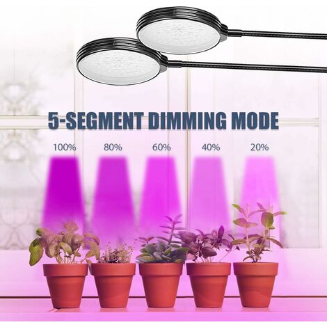 Blue Dream Plant Grow Light, 156 LED élèvent des lumières à spectre complet  pour les plantes d'intérieur, lampe de culture à 2 têtes avec minuterie  4/8/12h, 3 modes d'éclairage, 5 niveaux de gradation