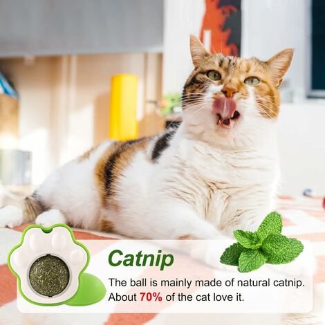 Jouet pour chat sac dherbe à chat/Catnip