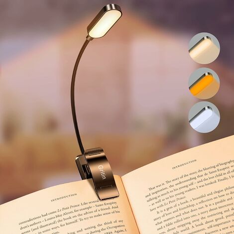 Lampe de Lecture 9 LED Liseuse Lampe Clip Rechargeable 9 Modes de  Luminosité et 3 Température de Couleur, 360°Cou Flexible Lampe Pince pour  Lit, Livre, Mini Veilleuse pour Nuit et Lampe de Chevet