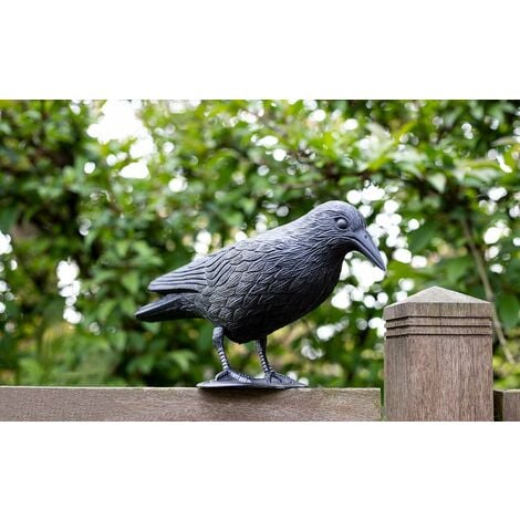 Répulsif anti-pigeons - Corbeau - Répulsif contre les petits oiseaux et les  pigeons - portée d'environ 38