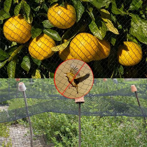 Filet Anti Oiseaux Arbre Fruitier Filets de Jardin Réutilisables  Anti-Oiseaux Protège Les Plantes, Les Fruits, Les Arbres,3x10m