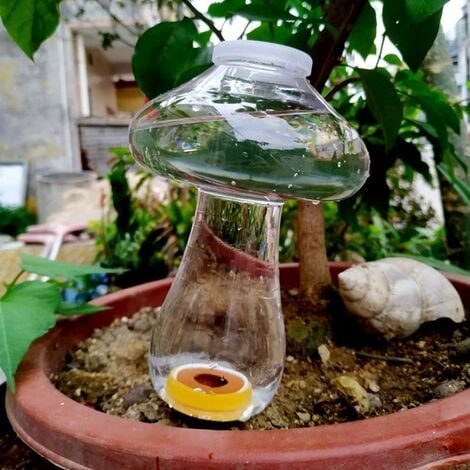 5 pièces dispositif d'arrosage automatique globes vacances plante