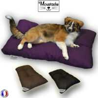 Coussin d'intérieur pour chien 110x60 cm – Enveloppe 100% coton – Confort optimal et propriétés respirantes – Couleur mauve