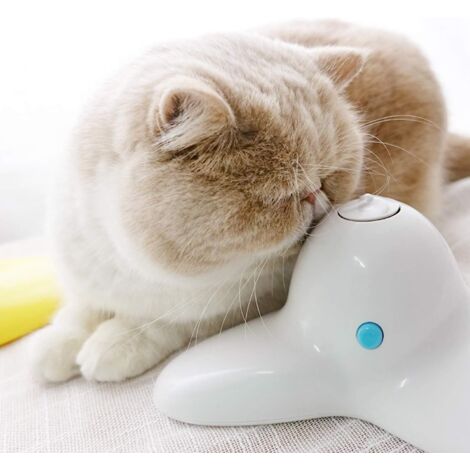JOUET INTERACTIF BUTTERFLY - CHAT IMAC