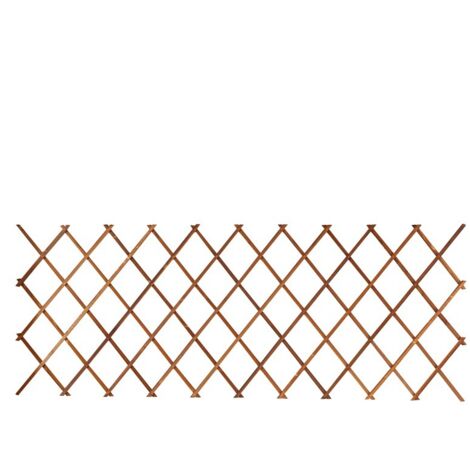 Treillis télescopique résistant à la corrosion pour murs de jardin - 44 x 31 cm, 2 pièces - RAPANDA