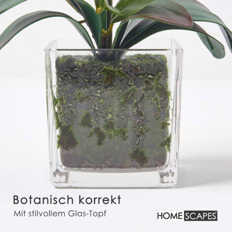 NatureMan Künstliche Orchideen 69cm - 6 Stück Weiße Seiden Orchideen