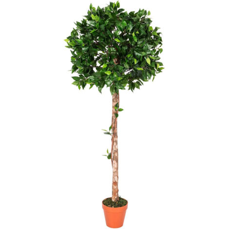 HOMESCAPES Kunstpflanze Grün 'Ficus Tropische Zierpflanze' im Topf, 125 cm
