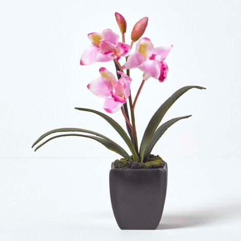 Homescapes Set Di 2 Orchidee Artificiali In Vaso Ceramica Nera, Fiori Finti Con Protezione UV, Per Decorazione Interni - 5