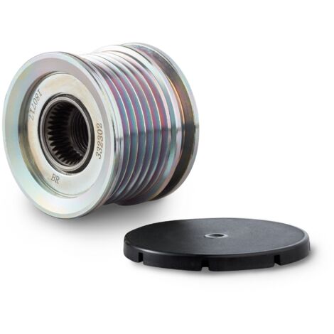 Mastervolt Poulie Multi-Gorges 6 Gorges pour Alpha Compact Ø49.8Mm (1/2)