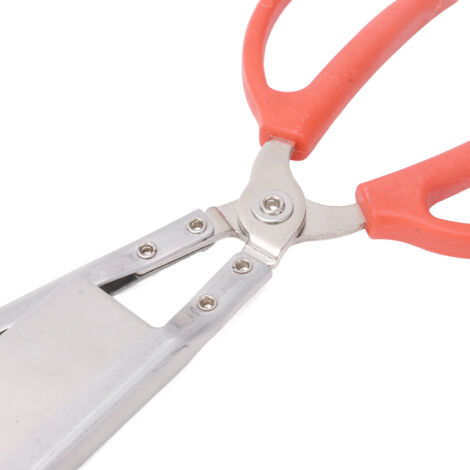 Vis à tête plate en acier inoxydable 304 avec empreinte Torx - Chine Vis, vis