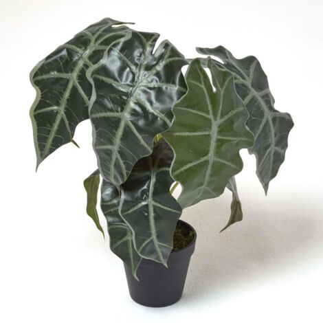 HOMESCAPES Plante artificielle Oreille d’éléphant en pot, 50 cm (1/5)