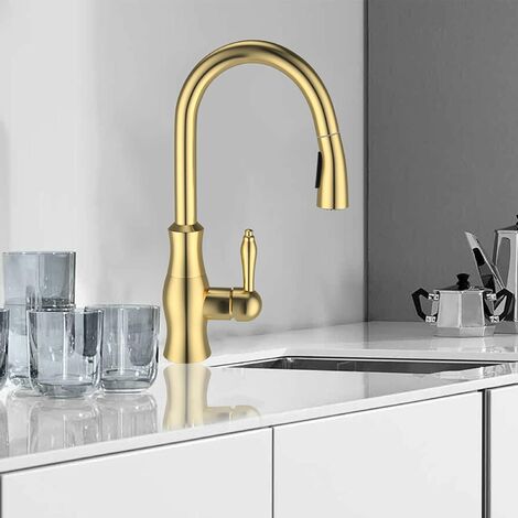 Elegant Gold 2-Function Kitchen Tap ...