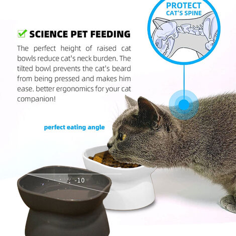 elevated cat bowls to prevent vomiting