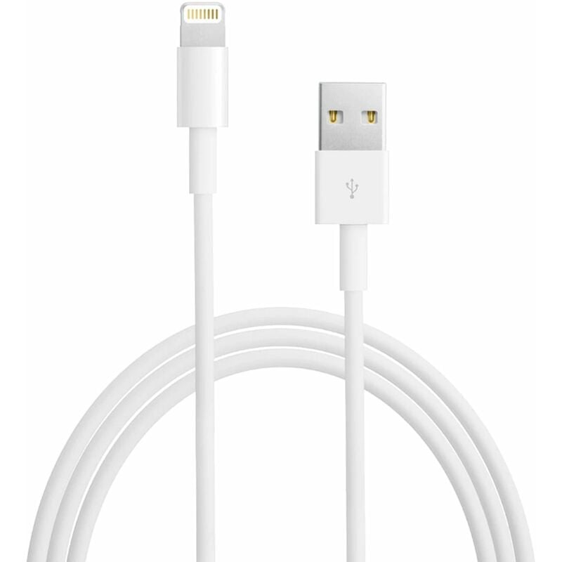 Cable Apple 0.5 Lightning USB - ME291ZM/A