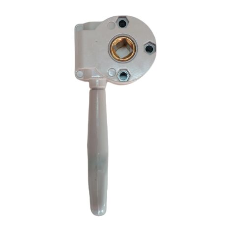 TENDAGGIMANIA Argano per Tende da Sole - Colore Bianco, Grigio, Marrone, Avorio - Rapporto 1:11- Colore Grigio