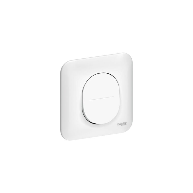 Ovalis Ovalis - Bouton poussoir à fermeture - 10A avec plaque Blanc S260206