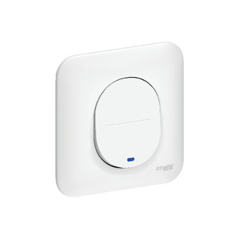 Schneider S260263 Ovalis - Interrupteur simple - lumineux temoin ou localisation avec plaque Blanc