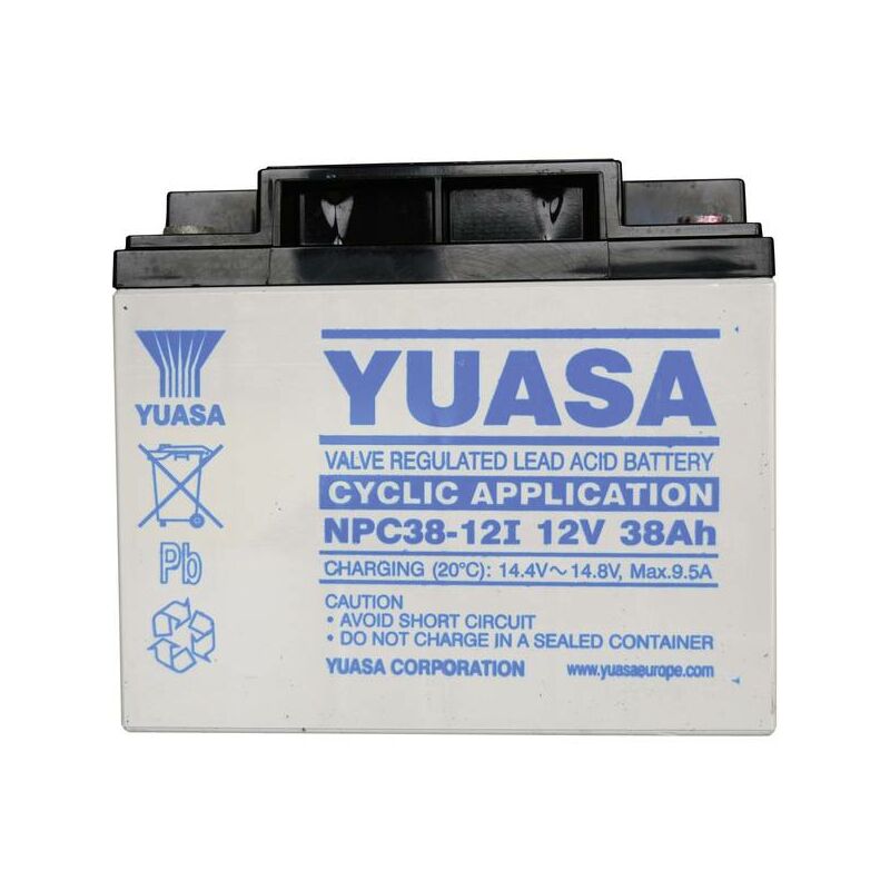 Yuasa NPC38-12 NPC38-12 Batteria al piombo 12 V 38 Ah Piombo-AGM (L x