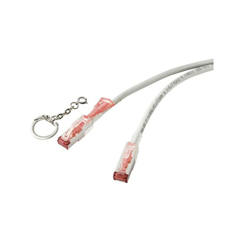 Renkforce RF-4533112 RJ45 Cavo di rete, cavo patch CAT 6A S/FTP 3.00 m  Grigio