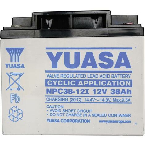 Yuasa NPC38-12 NPC38-12 Batteria al piombo 12 V 38 Ah Piombo-AGM (L x A x  P) 197 x 170 x 165 mm Vite M5 Esente da