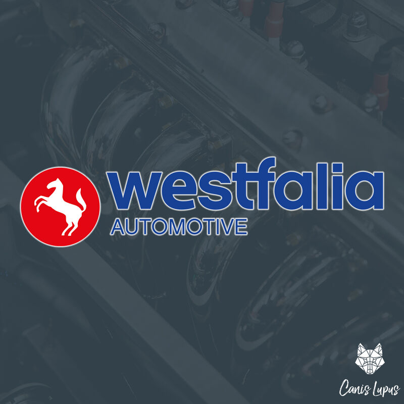 Westfalia 320 057 660 0001 Anhängerkupplung / Kugelstange Aufnahmerohr WI