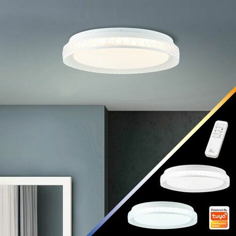 BRILLIANT Burlie LED 1x Deckenleuchte (Lichtstrom: 39cm Tuya-App LED 24W integriert, transparent/weiß LED integriert