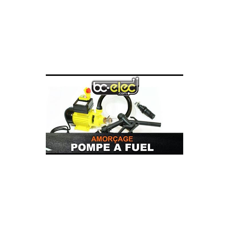 Varan Motors - CYB150 Pompa gasolio 12V 40l/min 40l/min 160W con filtro di  aspirazione, distributore automatico e valvola di non ritorno, pompa di  trasferimento