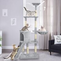 Cat activity outlet trees