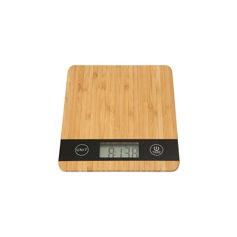 Portable Electronic Scale, 165lbs/75kg LCD Backlit Digital Fish Scale