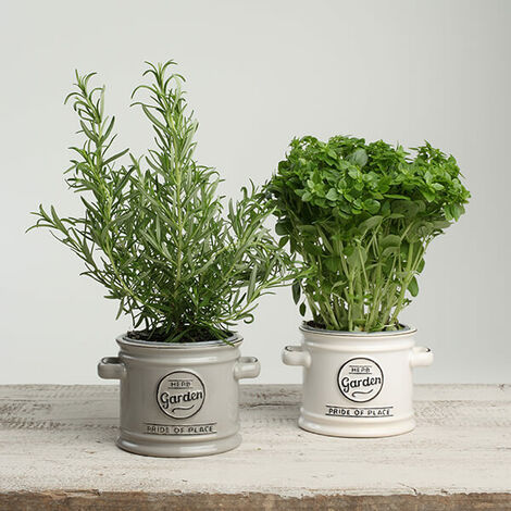 T&G Pride Of Place Plant Pot White