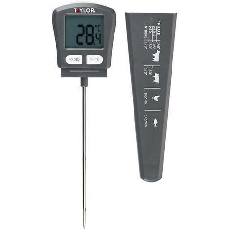 Taylor Greenhouse Thermometer