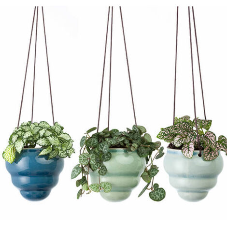 Burgon & Ball Hanging Pot Baby Bombino Trio (1/5)