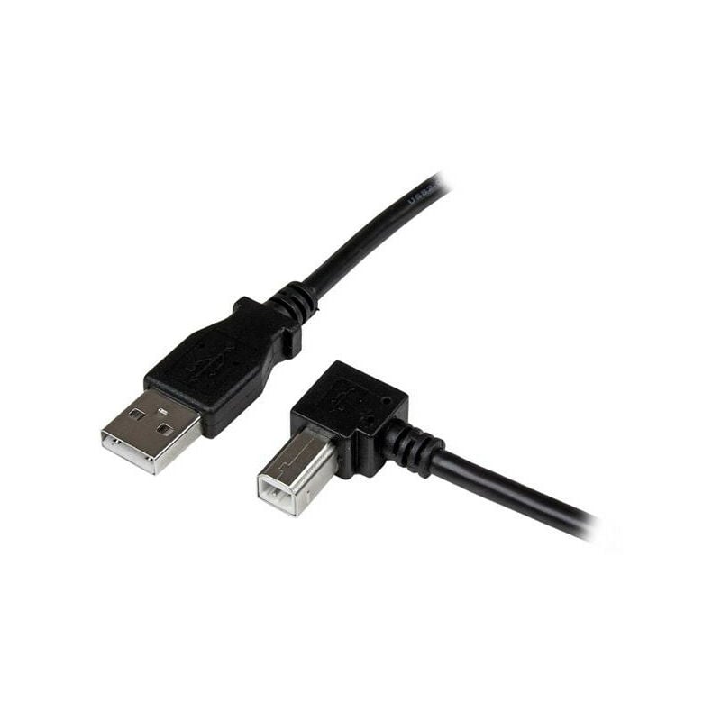 Câble imprimante HP USB A / USB B 3.0 1m HP en multicolore