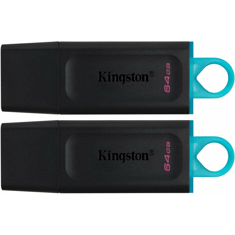 KINGSTON Kingston DataTraveler Exodia DTX/64GB-2P Clé USB 3.2 Gen